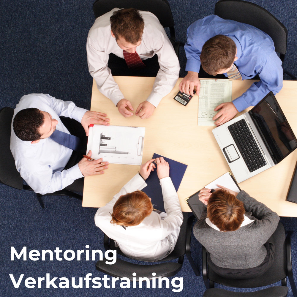 High-Level 1:1 Mentoring (EU) (einmalig)