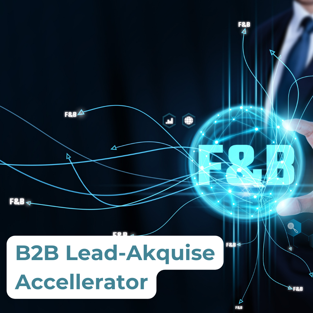 B2B Lead-Akquise + Kundenbetreuung Systemaktivierung